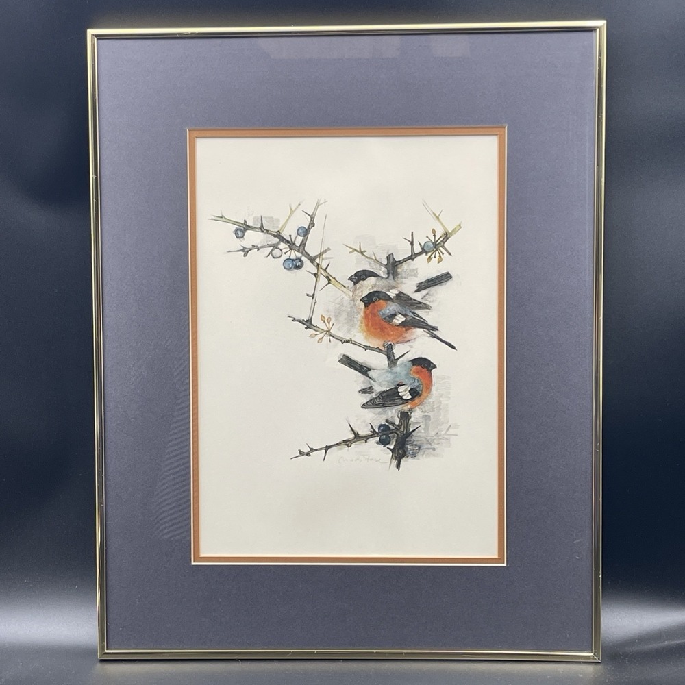 Mads Stage Signed Bullfinch & Blackthorn Danish Bird Series Print Framed
